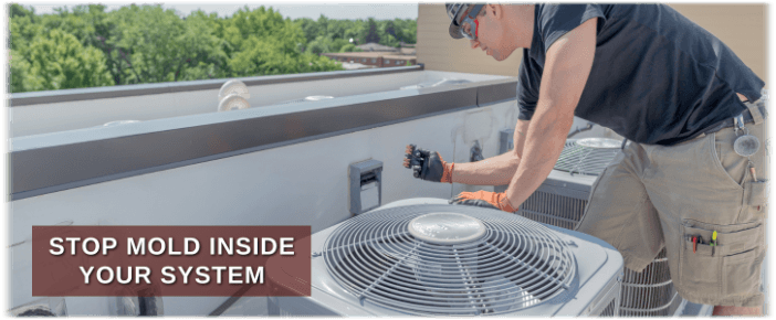 HVAC Mold Removal Gary IN